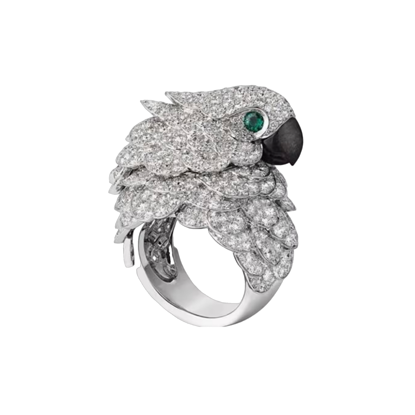Parrot silver ring