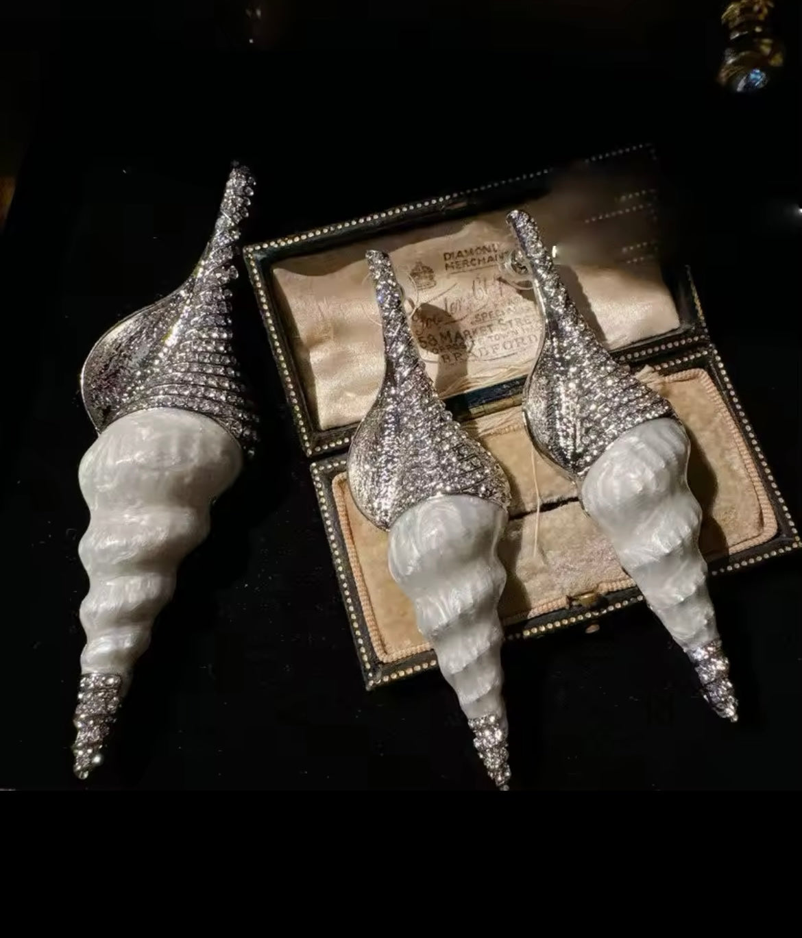Seashells earrings