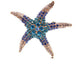 Starfish Brooch